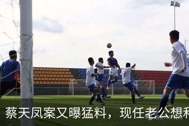 蔡天凤案又曝猛料，现任老公想和前夫发生关系，并承认500万输光